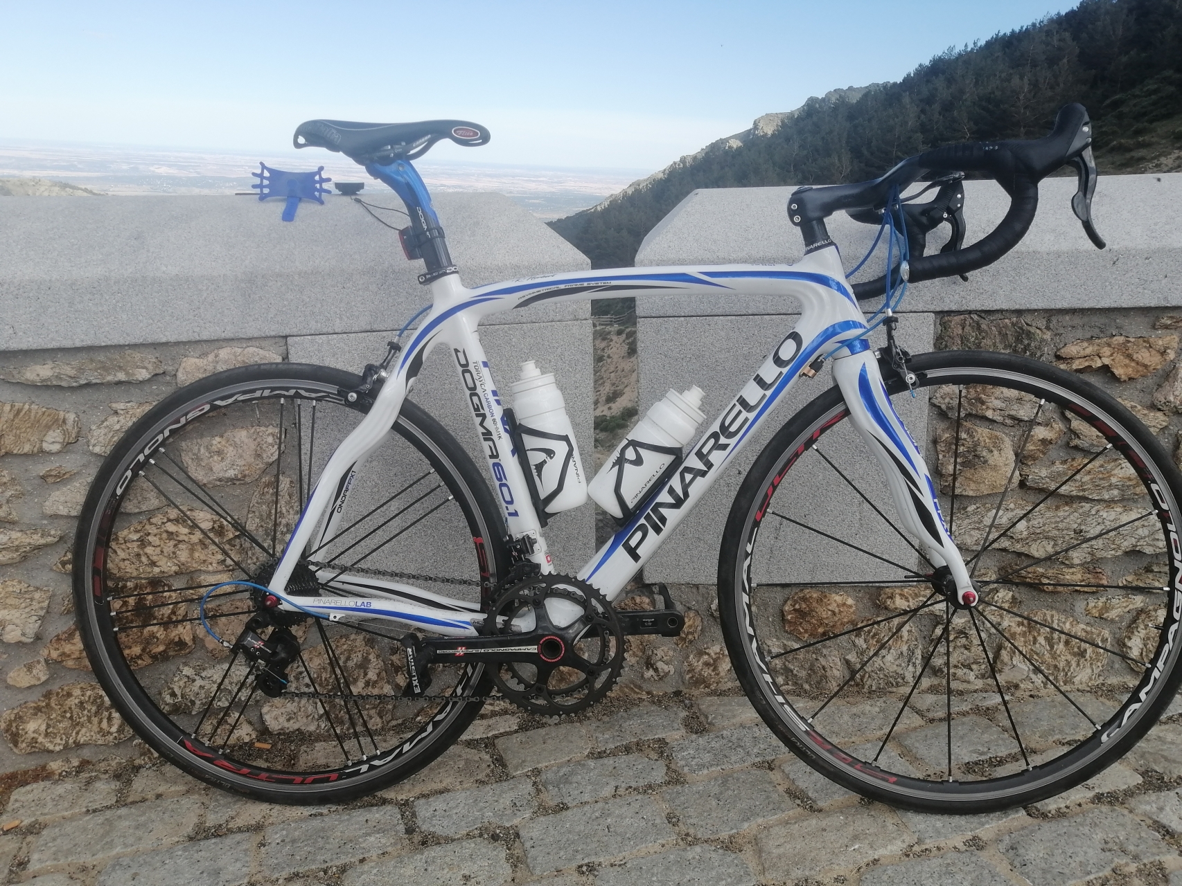 pinarello dogma 60.1 for sale